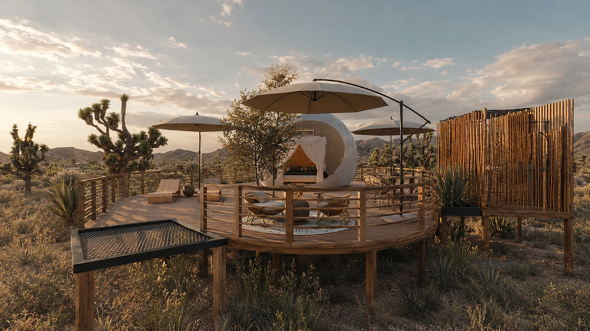 Joshua Tree — image